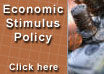 Economic Stimulus Policy