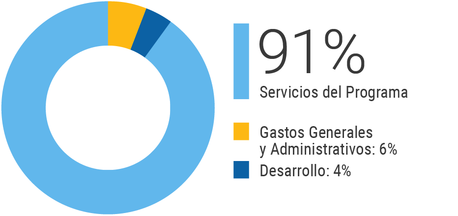 91% servicios del Programas; Gastos Generales y Administrativos 6%; Desarrollo 4%