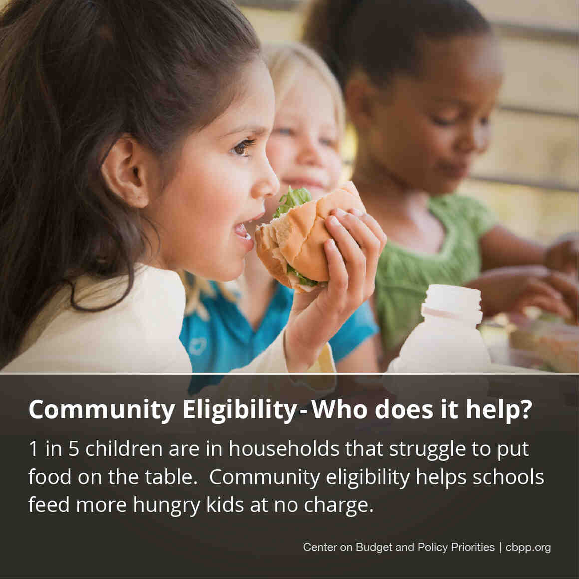Photographic: Community Eligibility - Who does it help?